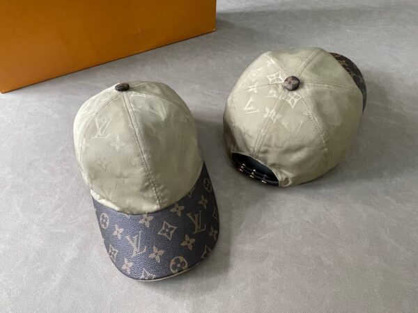 Louis Vuitton Pet Beige